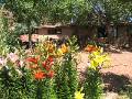 At FireTree Bed and Breakfast in Monument Valley Utah